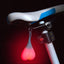 Today Cycling Tail Light Waterproof Night Lights